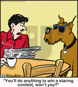 Marmaduke on Thursday December 31, 2015 Comic Strip