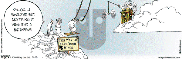 Non Sequitur on Friday May 16, 2025 Comic Strip