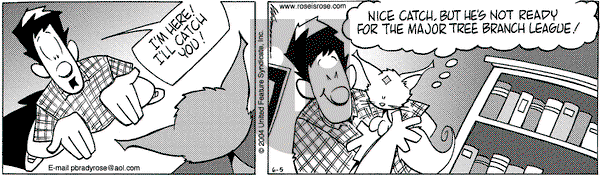 Rose is Rose on Saturday June 5, 2004 Comic Strip