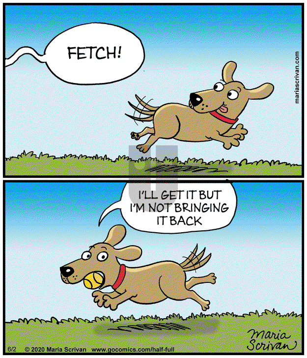 Half Full on Monday June 2, 2025 Comic Strip