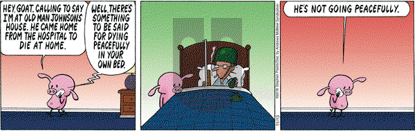 Pearls Before Swine on Tuesday November 13, 2018 Comic Strip