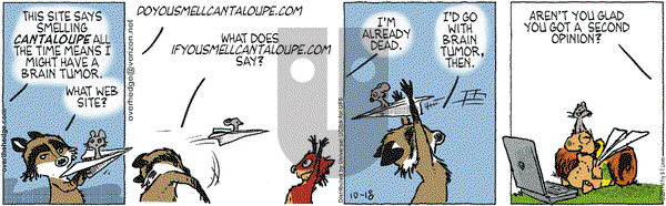 Over the Hedge on Tuesday October 18, 2011 Comic Strip