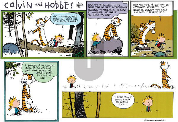 Calvin and Hobbes on Sunday April 19, 1992 Comic Strip
