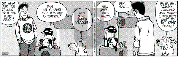 Get Fuzzy - Wednesday December 26, 2001 Comic Strip
