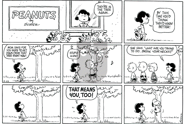 Peanuts - Sunday August 23, 1964 Comic Strip