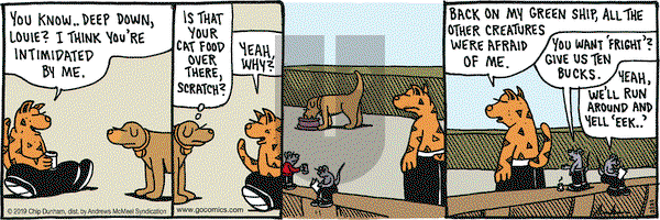 Overboard on Thursday February 21, 2019 Comic Strip