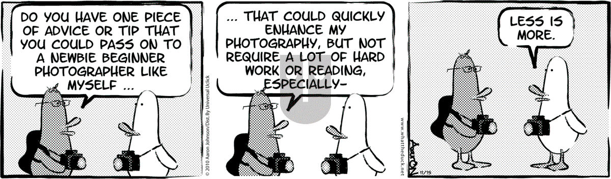 W.T. Duck - Thursday June 1, 2023 Comic Strip
