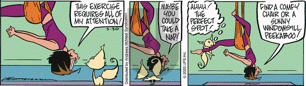 Rose is Rose on Monday March 30, 2020 Comic Strip