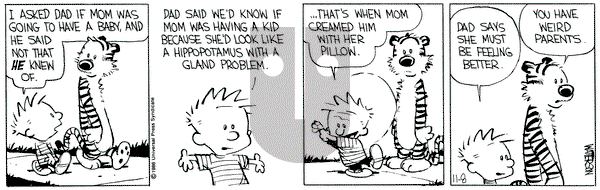 Calvin and Hobbes on Saturday November 8, 1986 Comic Strip