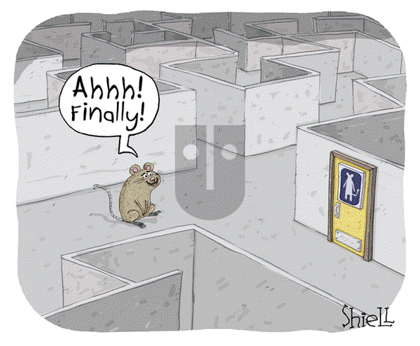 The Wandering Melon on Monday December 12, 2022 Comic Strip