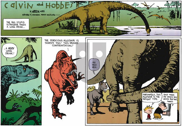Calvin and Hobbes on Sunday September 13, 2015 Comic Strip