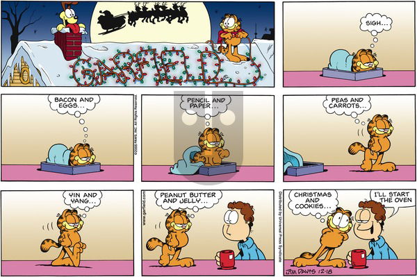 Garfield on Sunday December 18, 2005 Comic Strip