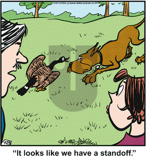 Marmaduke on Friday July 23, 2021 Comic Strip