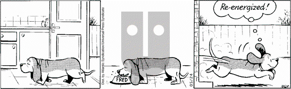 Fred Basset on Saturday May 24, 2008 Comic Strip