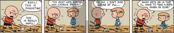 Peanuts Begins - Saturday July 20, 2024 Comic Strip