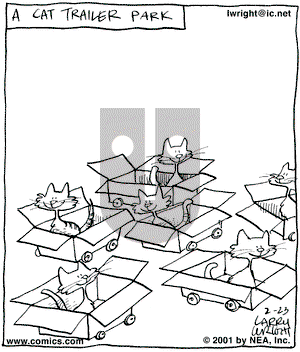Kit 'N' Carlyle on Friday February 23, 2001 Comic Strip