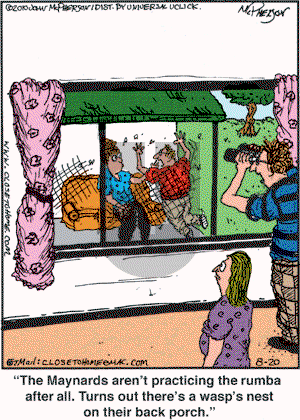 Close to Home on Friday August 20, 2010 Comic Strip