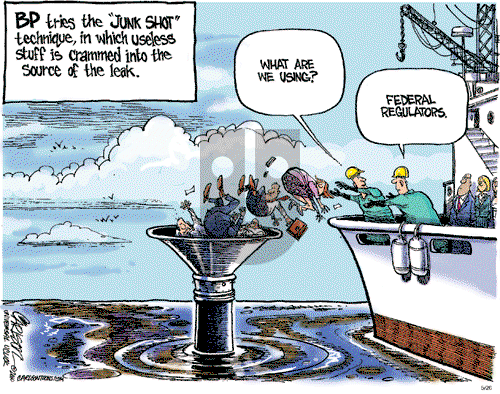 Stuart Carlson - Wednesday May 26, 2010 Comic Strip