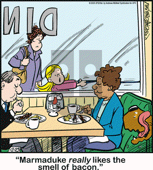 Marmaduke on Wednesday December 23, 2020 Comic Strip