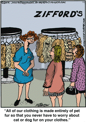 Close to Home on Saturday January 5, 2019 Comic Strip