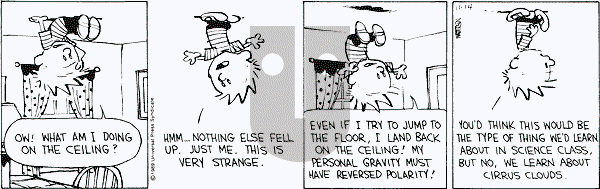 Calvin and Hobbes - Tuesday November 14, 1989 Comic Strip
