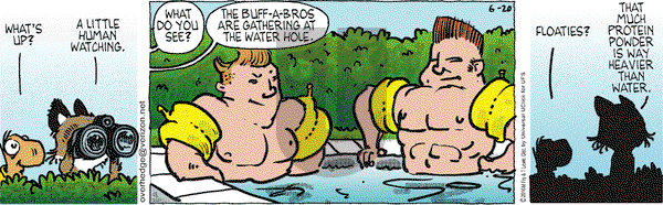 Over the Hedge on Monday June 20, 2016 Comic Strip