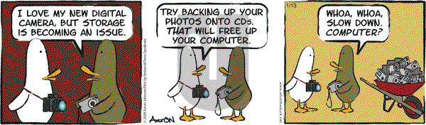 W.T. Duck on Tuesday January 13, 2009 Comic Strip