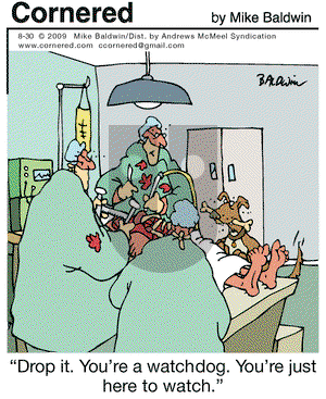 Cornered on Wednesday August 30, 2017 Comic Strip