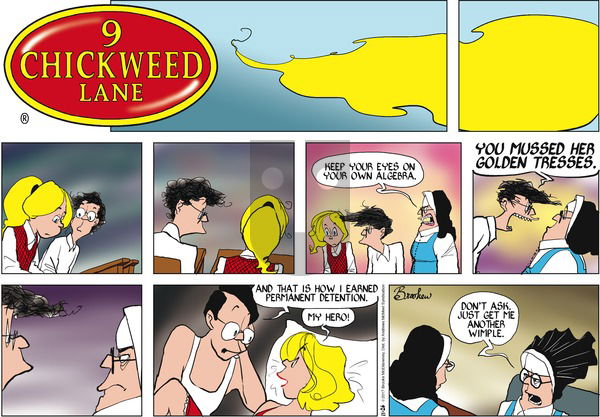 9 Chickweed Lane on Sunday November 26, 2017 Comic Strip