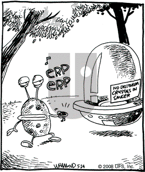 Reality Check on Saturday May 24, 2008 Comic Strip