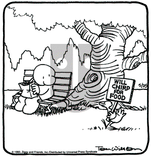 Ziggy on Tuesday May 25, 1993 Comic Strip