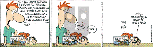 Baby Blues on Thursday August 19, 2004 Comic Strip