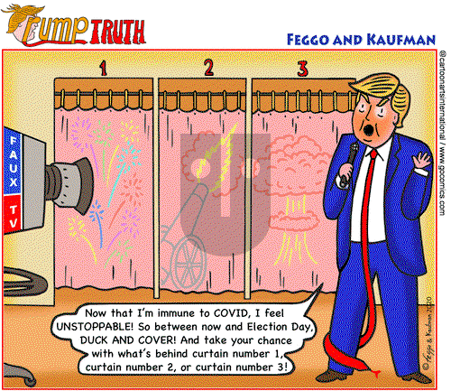 ViewsBusiness on Saturday October 17, 2020 Comic Strip
