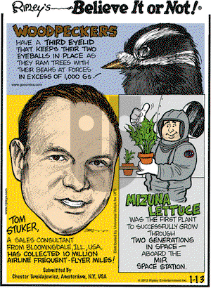 Ripley's Believe It or Not on Friday January 13, 2012 Comic Strip