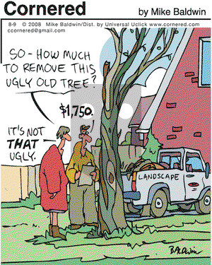 Cornered on Tuesday August 9, 2016 Comic Strip