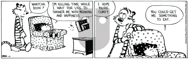 Calvin and Hobbes on Saturday January 9, 1993 Comic Strip