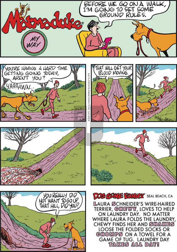 Marmaduke on Sunday February 23, 2020 Comic Strip