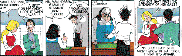9 Chickweed Lane on Tuesday March 17, 2015 Comic Strip