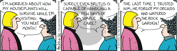 The Born Loser on Wednesday January 25, 2012 Comic Strip