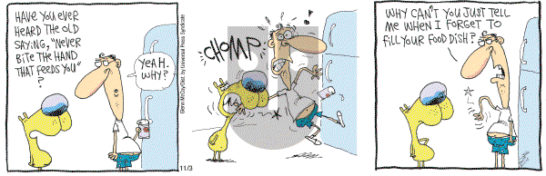 The Duplex on Saturday November 3, 2007 Comic Strip