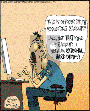 The Flying McCoys on Saturday July 4, 2015 Comic Strip