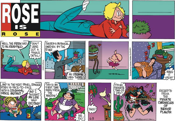 Rose is Rose on Sunday June 9, 2019 Comic Strip
