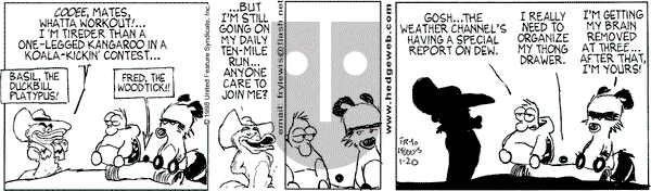 Over the Hedge on Tuesday January 20, 1998 Comic Strip