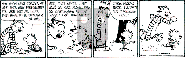 Calvin and Hobbes on Saturday August 2, 2014 Comic Strip