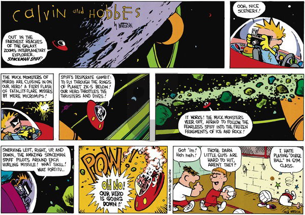Calvin and Hobbes on Sunday November 26, 1989 Comic Strip
