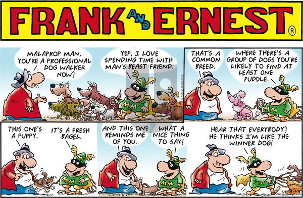 Frank and Ernest on Sunday November 29, 2020 Comic Strip