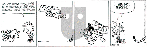 Calvin and Hobbes on Monday June 2, 2025 Comic Strip