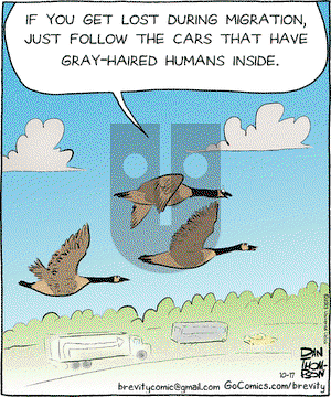 Brevity on Thursday October 17, 2013 Comic Strip