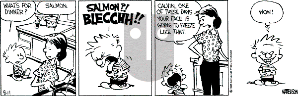 Calvin and Hobbes - Monday August 11, 1986 Comic Strip