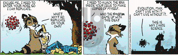 Over the Hedge on Monday June 1, 2020 Comic Strip